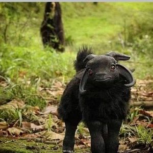 Meet your Posher, Jorge